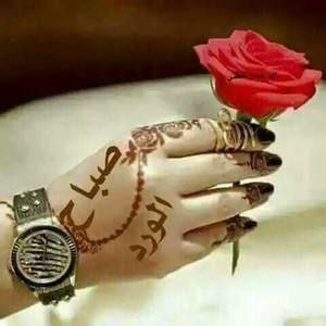 Meet your Posher, Nasser